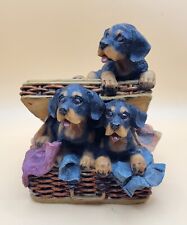 Rottweiler puppies wicker for sale  Crete