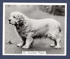 Clumber spaniel original for sale  KEIGHLEY