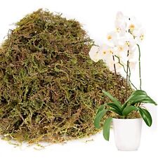Dried moss plants for sale  Chicago