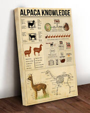 Alpaca knowledge two for sale  Chicago