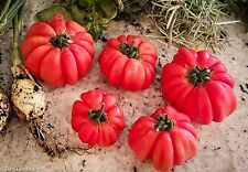 Mushroom basket tomato for sale  Salem