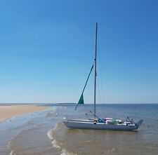 Dart sailing catamaran for sale  NORWICH