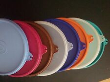 Tupperware ersatzeckel 238 gebraucht kaufen  Orbis, Gauersheim, Mauchenheim