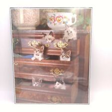 Pictures kittens dresser for sale  Northfield