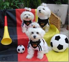 Hunde fussball shirt gebraucht kaufen  Frankfurt/O.