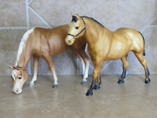 palomino quarter horse for sale  Hamlin