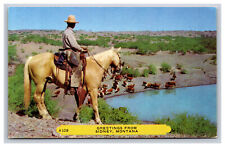 Kowbojski koń bydło, pozdrowienia z Sidney Montana MT pocztówka na sprzedaż  Wysyłka do Poland