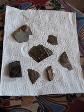british fossils for sale  WHITCHURCH