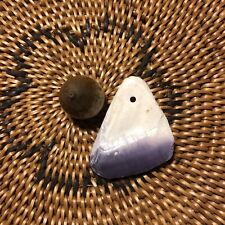 Wampum quahog shell for sale  Raynham Center