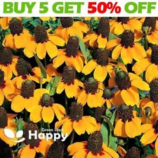 Clasping coneflower 1000 for sale  DONCASTER