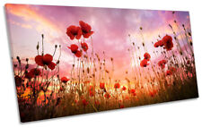 Red poppies sunset for sale  UK