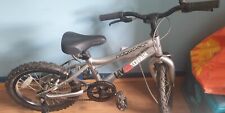 Ridgeback mx16 kids for sale  UK