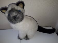 Siamese cat kitten for sale  POOLE