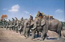 72594600 elefant elephant gebraucht kaufen  Deutschland