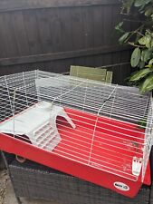 Rabbit guinea pig for sale  UTTOXETER