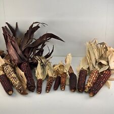 Decorative indian corn for sale  Dayton