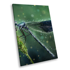 Blue dragonfly green for sale  STRABANE