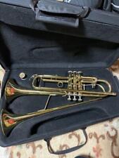Eixo de trompete duplo personalizado comprar usado  Enviando para Brazil