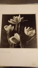 Digital print tulips for sale  CASTLE DOUGLAS