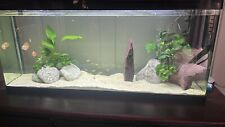 Large aquarium complete for sale  INGATESTONE