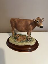 Jersey cow calf for sale  SANDBACH