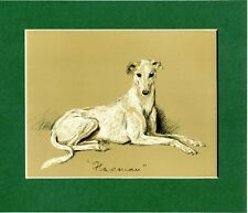 Lucy dawson greyhound for sale  Shipping to Ireland