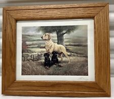 Ruane manning dog for sale  Woodstock