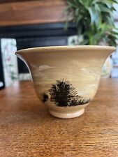 Boscastle pottery bowl for sale  YEOVIL