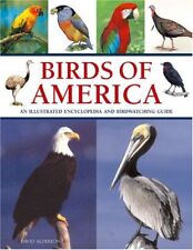 Birds america illustrated for sale  UK