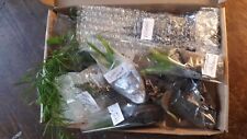 Tiny box plants for sale  WISBECH