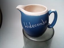 Widecombe devonmoor pottery for sale  TORQUAY