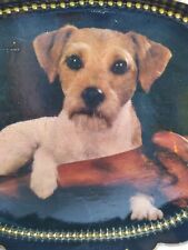 Tray jack russell for sale  Carlsbad