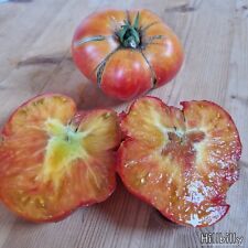 Tomate hillbilly 10 gebraucht kaufen  Mettenheim