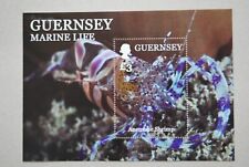Guernsey 2014 marine for sale  FAVERSHAM
