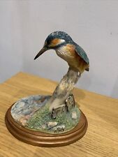 border fine arts kingfisher for sale  NEWPORT