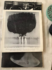 Three photography catalogues for sale  New York