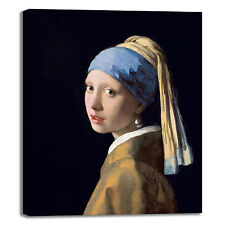 Vermeer ragazza col usato  Vercelli