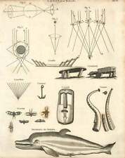Placa de cobre 1802 golfinho, cromeleque, multidão e corneta  comprar usado  Enviando para Brazil