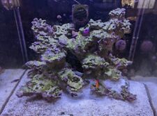 Custom made aquascape for sale  Absecon