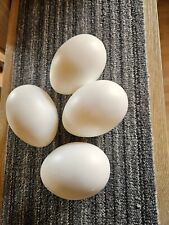 Plastik eier gebraucht kaufen  Schifferstadt