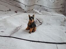 Yorkie terrier german for sale  Hudson