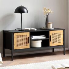 Finebuy meuble 110 d'occasion  Strasbourg-