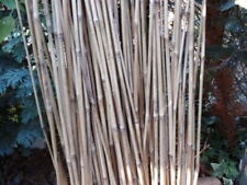 Bambus bambusrohre stück gebraucht kaufen  Bad Buchau