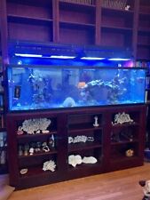 Reef tank for sale  Marquette