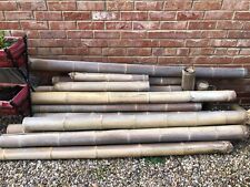 Thick bamboo poles for sale  LOUGHBOROUGH