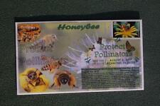 Protect pollinators honey d'occasion  Expédié en France