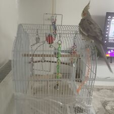 Cockatiels bird cage for sale  HAVANT