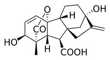 Gibberellinsäure ga3 5 gebraucht kaufen  Edigh.,-Oppau