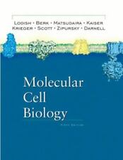 Biología Celular Molecular de Lodish, Harvey, Berk, Arnold, Matsudaira, Paul, Kaise, usado segunda mano  Embacar hacia Argentina