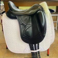 Sue carson dressage for sale  Shipping to Ireland